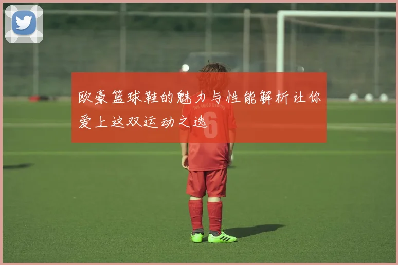 欧豪篮球鞋的魅力与性能解析让你爱上这双运动之选