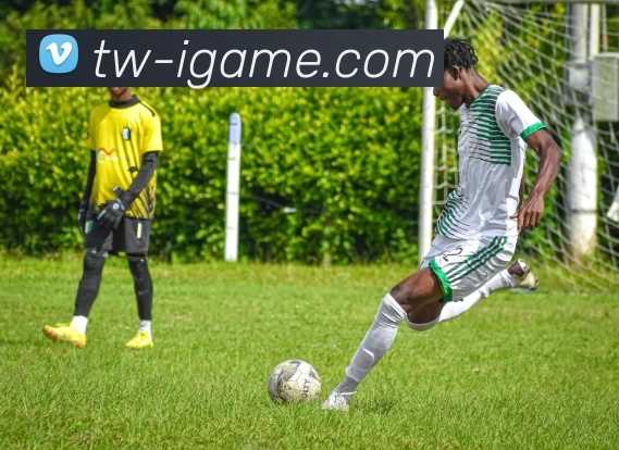 下载安装品牌故事